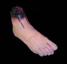 donpost_foot.jpg